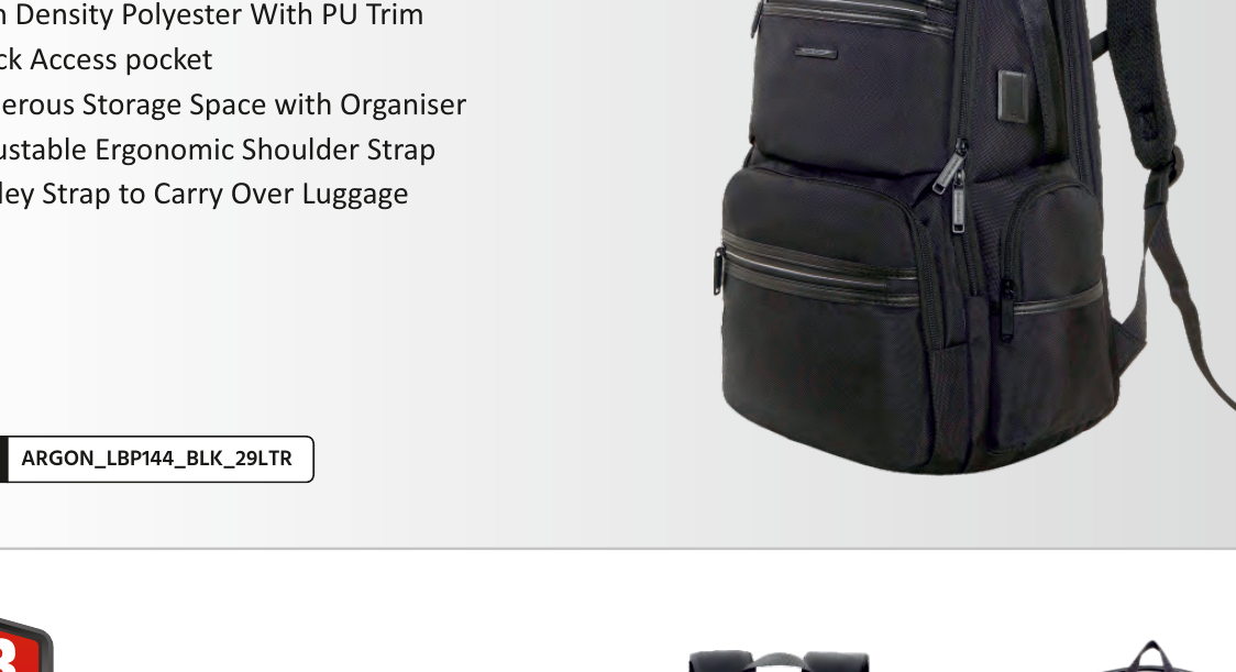 Argon Laptop Backpack