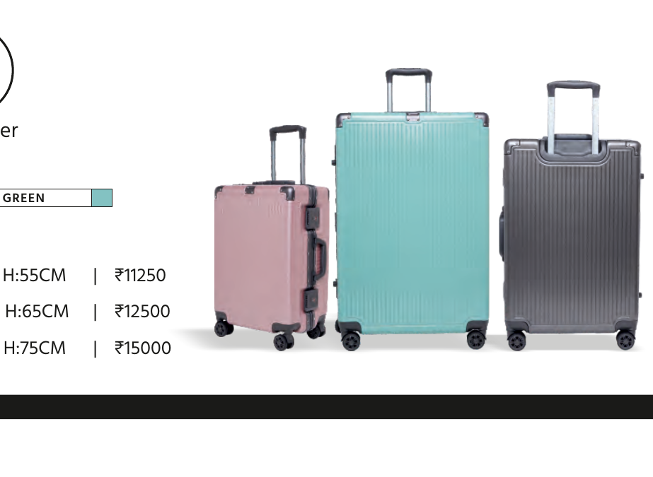 Kinetic Hardtop Trolley Luggage - Mid