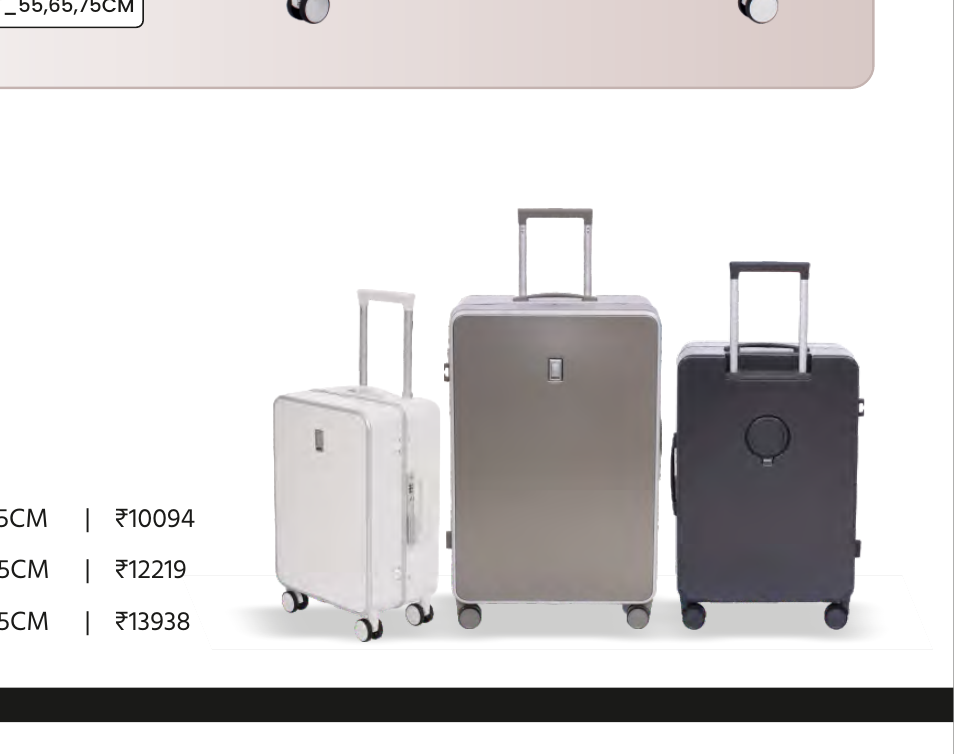Lorenzo Hardtop Trolley Luggage - Large