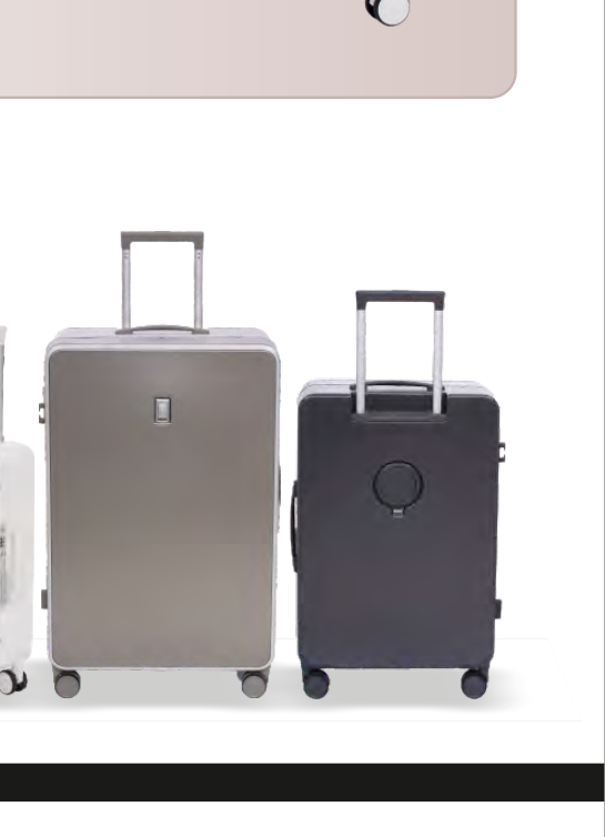 Lorenzo Hardtop Trolley Luggage - Mid