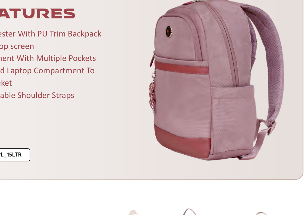Oasis Laptop Backpack